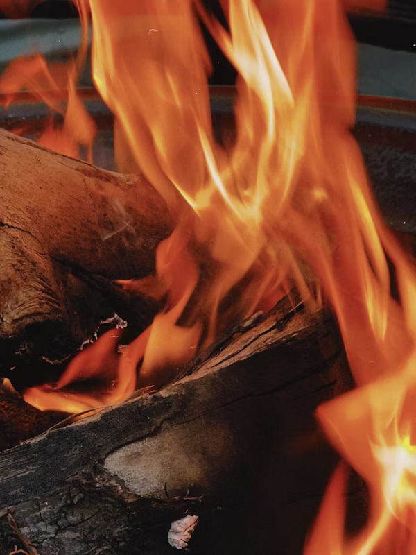 Close-up flames burning over logs in a campfire